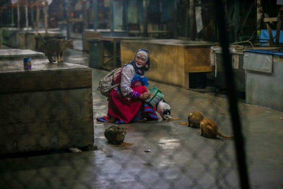 Nazirah is pictured feeding stray cats at a market in Ipoh. — Picture by Farhan Najib