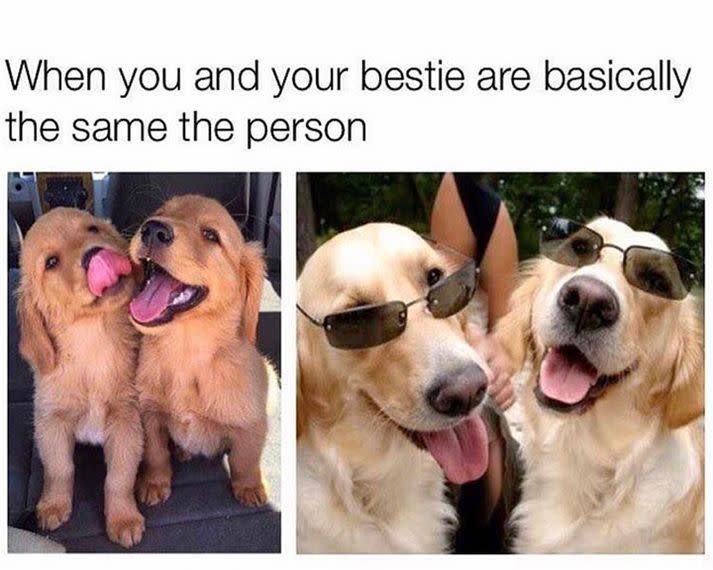 BFF