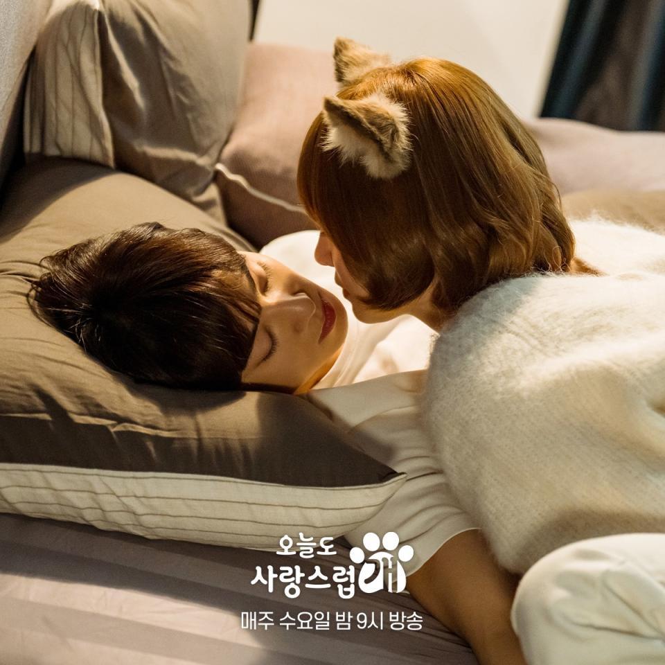 （圖源：MBC《犬系戀人》劇照）