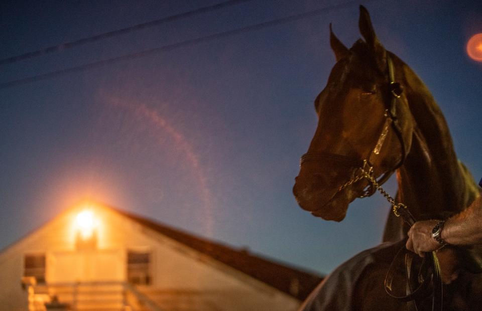 Kentucky Derby hopeful Messier is bathed on the backside of Churchill Downs following its first trip to the track. The former Bob Baffert trainee is being handled by Tim Yakteen due to Baffert's suspension from the track. May 2, 2022