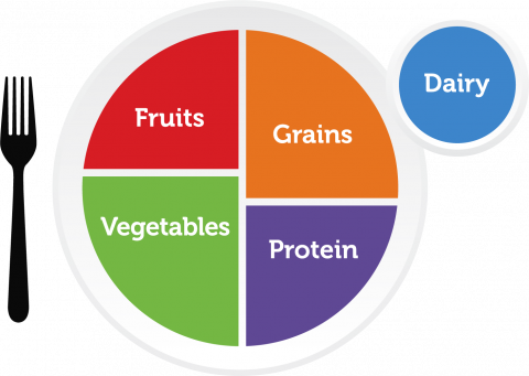 The USDA's MyPlate guide is a visual representation of its dietary guidelines.