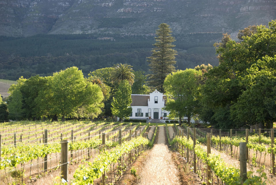 A winery near Cape Town.