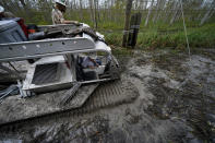 Electrical workers for Sparks Energy ride in a marsh buggy to restore power lines running through a marsh in the aftermath of Hurricane Ida in Houma, La., Friday, Sept. 17, 2021. The Louisiana terrain presents special challenges. In some areas, lines thread through thick swamps that can be accessed only by air boat or marsh buggy, which looks like a cross between a tank and a pontoon boat. Workers don waders to climb into muddy, chest-high waters home to alligators and water moccasins. (AP Photo/Gerald Herbert)