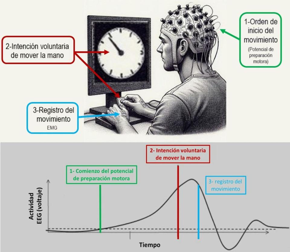 Procedimiento empleado durante el experimento de Libet.