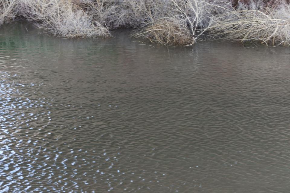 Water from the Pecos River flows east of Artesia on April 2, 2024.