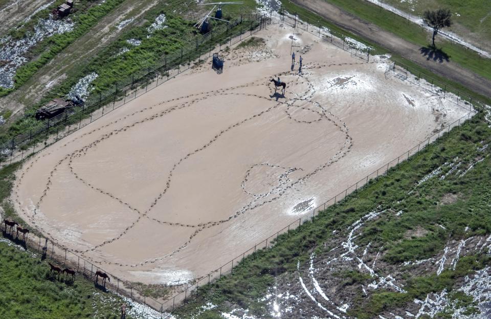 Leaving a trail in the mud, a horse is exercised in the enclosure in the aftermath of Hurricane Delta Saturday Oct. 10, 2020, in Welsh, La.(Bill Feig/The Advocate via AP, Pool)