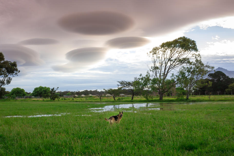 UFO clouds over Cape Town, South Africa.