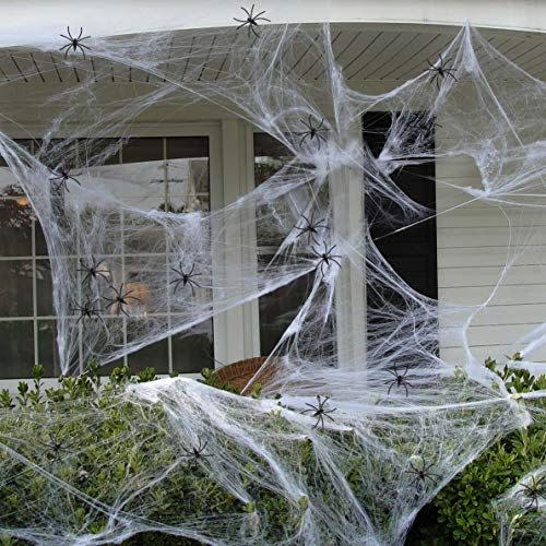 Fake Spider Web