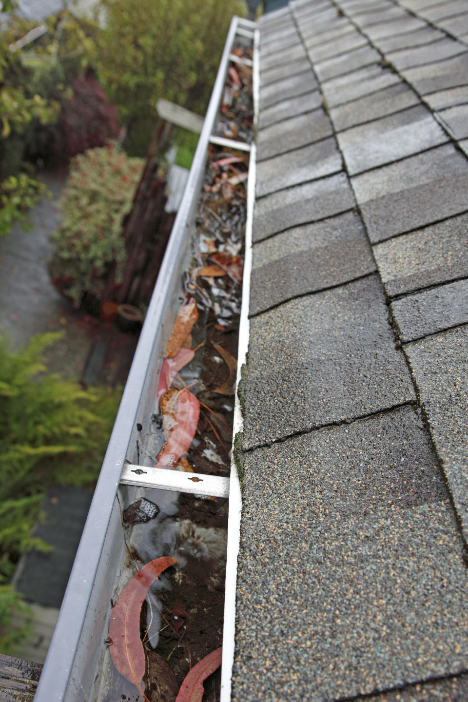 Clogged gutters