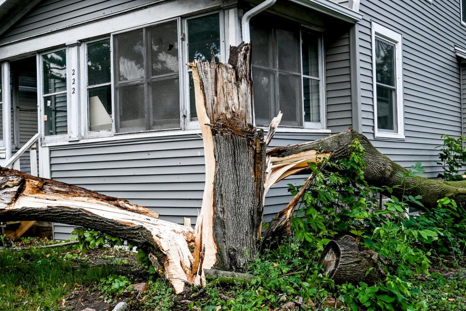 Damage from the storm on Thursday, July 13, 2023, on Lansing's east side.