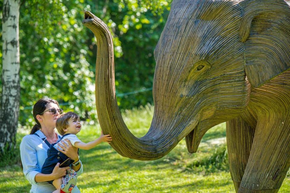 A mother and child get up close to touch one of the 