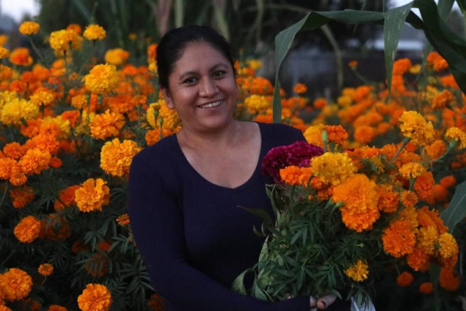 Area residents like Isabel Patricio are just a few of the community garden members who have plots filled with the 'cempasúchil' flower for both personal use and to sell as the 'Día de los Muertos' celebration approaches.