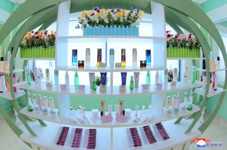 FILE PHOTO: A view of a cosmetics factory in this undated photo released by North Korea's Korean Central News Agency (KCNA) in Pyongyang