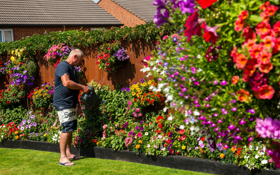 The hanging baskets of Bristol