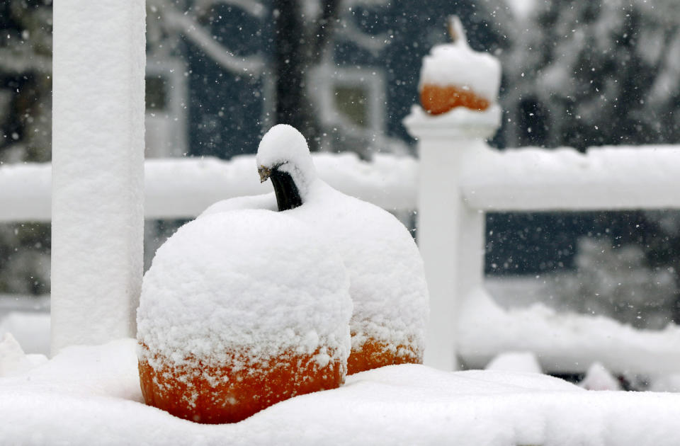 Snow covers pumpkins for sale at Trombetta's Farm during the season's first snowfall, Friday, Oct. 30, 2020, in Marlborough, Mass. (AP Photo/Bill Sikes)