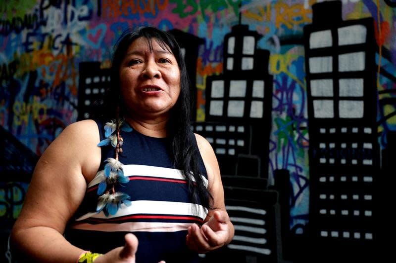 Joenia Wapichana will be the first indigenous woman to serve in the House of Representatives.&nbsp; (Photo: Agencia EFE)