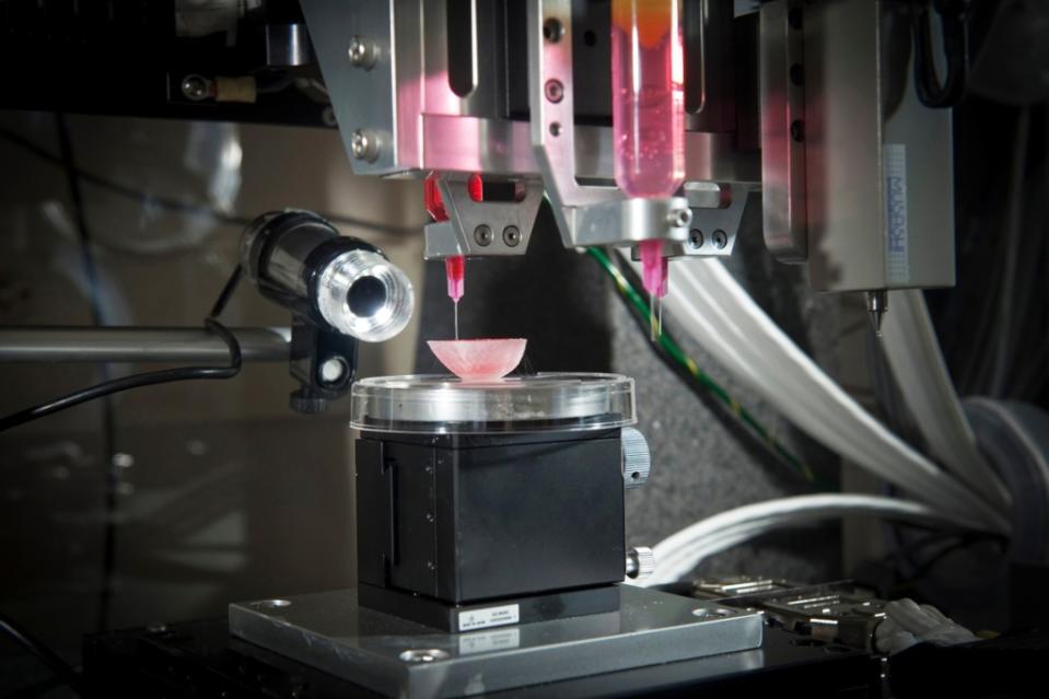 header-thumbnail_3D-bioprinting-bladder-scaffold