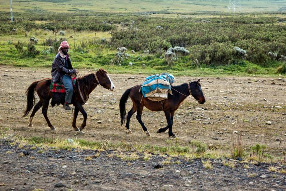 Local indigenous people, on horseback, on their way to the local market. Bale Mountains (Alamy Stock Photo)