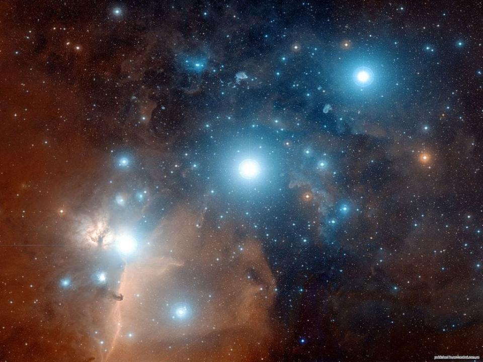 Um Beteigeuze mit dem blossen Auge zu erkennen, müsst ihr die drei hellsten Sterne des Oriongürtel finden, die hier abgebildet sind. - Copyright: NASA