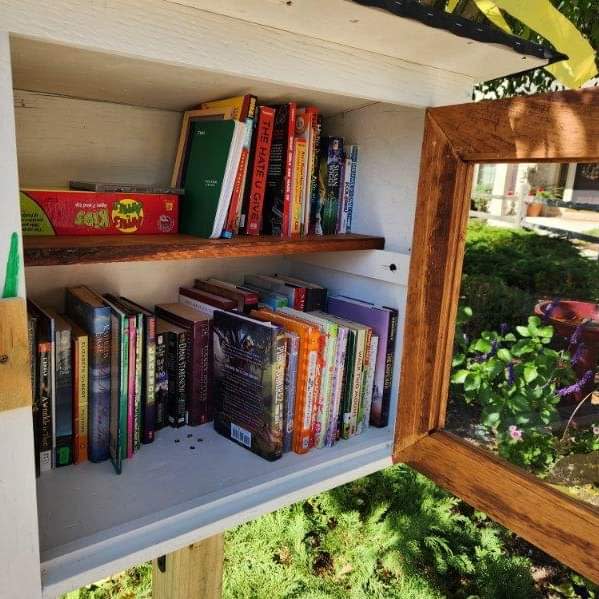 A Little Free Library in Germantown, organized by the Germantown Community Coalition, specializes in offering banned books.
