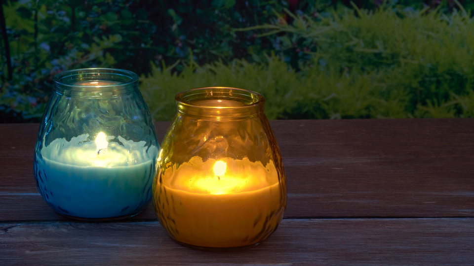 The fresh, lemongrass scent of Citronella smells pretty good, too.