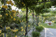 <p> Bloom-covered archways are a fabulous way to elevate a path and make it feel magical. And there are plenty of climbing plants to pick from. </p> <p> Roses or wisteria will always look lovely trained up and over a pergola or a series of arbors, as will fragrant honeysuckle. A look like this will make journeying through your plot a total joy – why not position a seating space at the end to make the most of the view? </p>