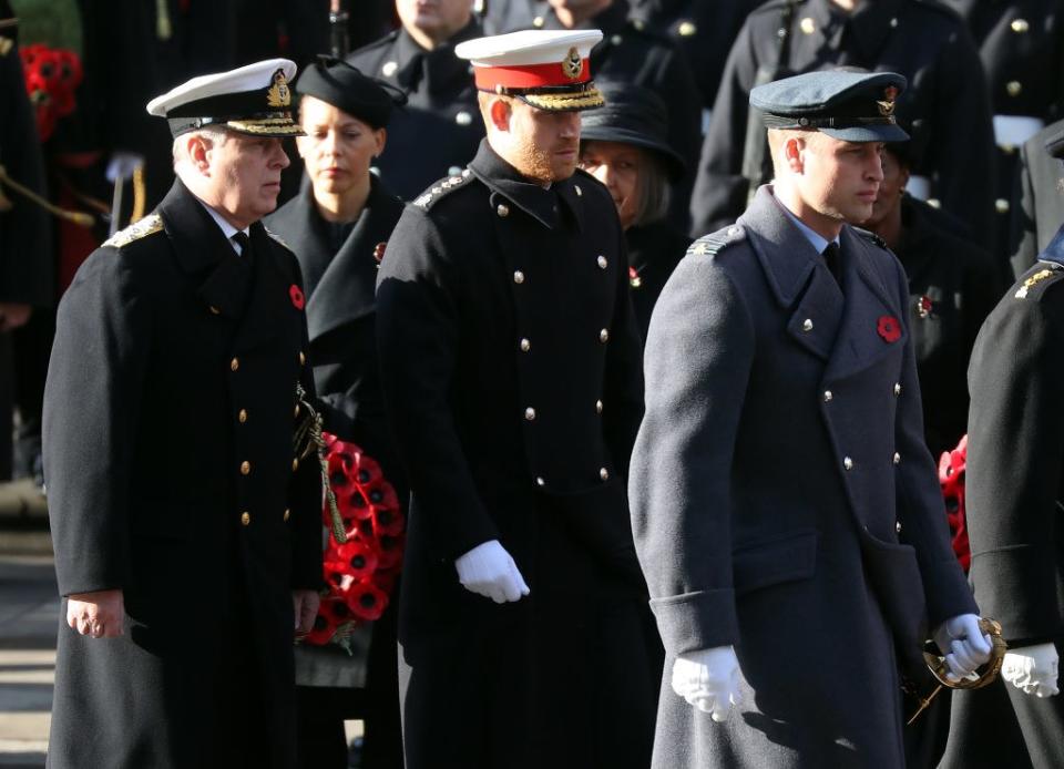 Prince Andrew, Prince Harry, and Prince William at Cenotaph service.