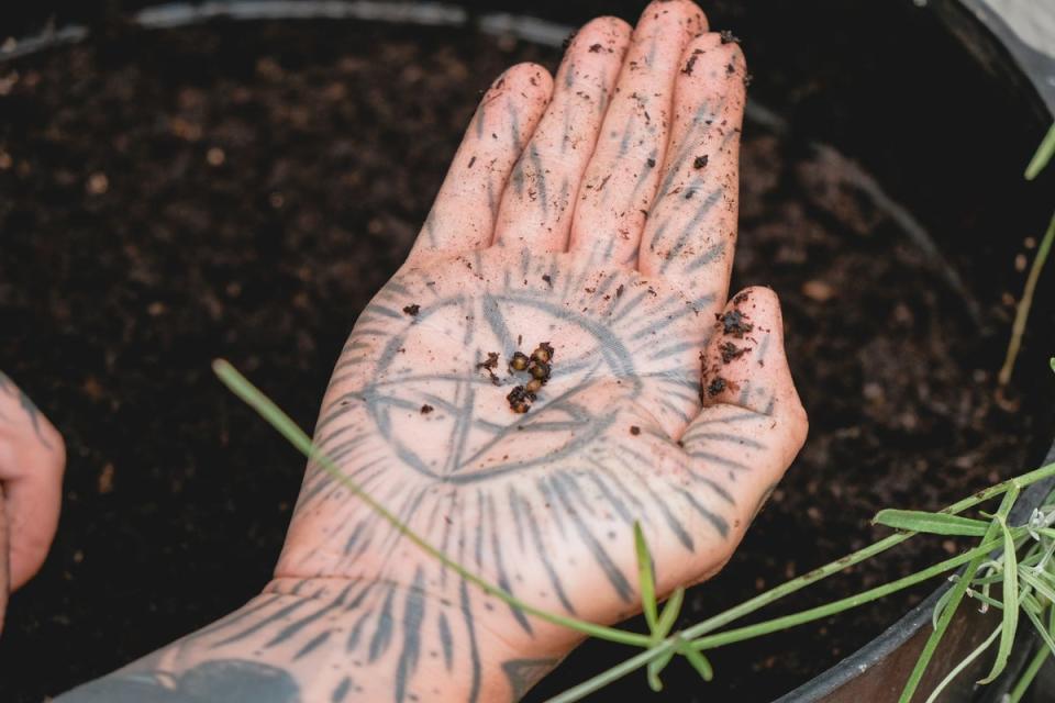 Earthed wants to help people get into growing their own food (Earthed)