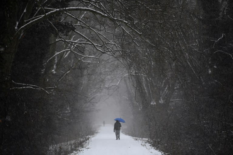 A man walks under snowfall in a forest in Strasbourg, eastern France, on January 10, 2017, as a cold wave hits most parts of Europe