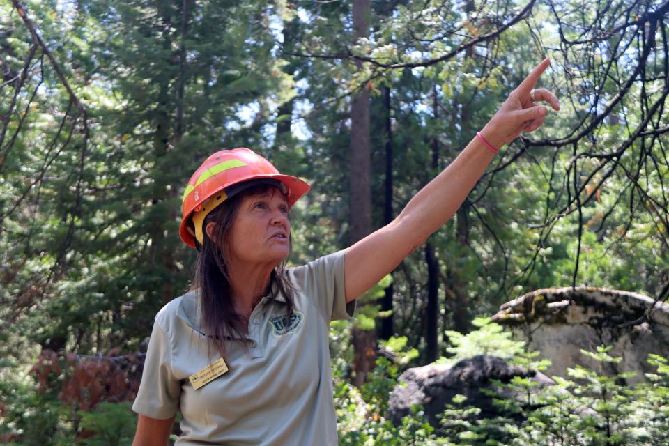 Ecosystem Staff Officer with the Sequoia National Forest Gretchen Fitzgerald discusses the work being done to protect giant sequoia groves on Aug. 18, 2022.