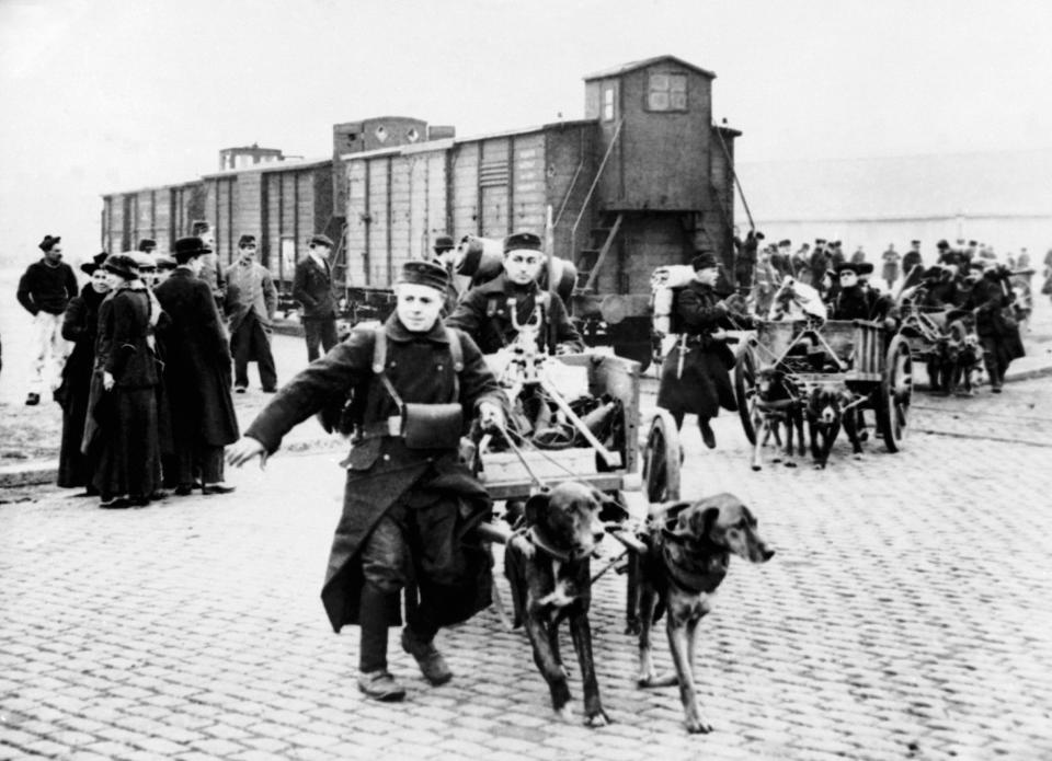 FILE - In this undated WWI file photo, soldiers move toward the front with their machine guns and ammunition pulled by dogs in Belgium. They were messengers, spies, sentinels and the heavy haulers of World War I, carrying supplies, munitions and food and leading cavalry charges. The horses, mules, dogs and pigeons were a vital part of the Allied war machine, saving countless lives _ and dying by the millions. (AP Photo, File)