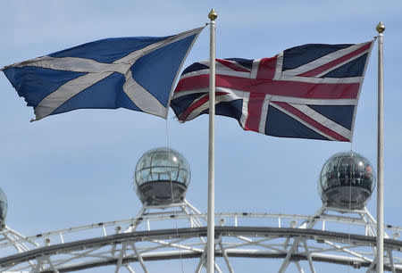 The Scottish saltire flag (L) and Union flag fly outside the Scottish Office, in central London August 28, 2014. REUTERS/Toby Melville