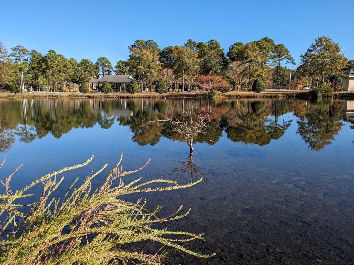 Recent rains have helped refill Wilmington-area ponds, like this one at New Hanover County's Ogden Park. But the region, like almost all of North Carolina, continues to be mired in drought.