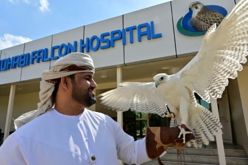 The Abu Dhabi falcon hospital is the world's largest such facility for birds of prey