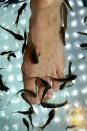 <div class="caption-credit"> Photo by: Getty Images</div><div class="caption-title">Carp predicure</div>In China, fish have been doing the job of spa professionals for years. Recently, a Virginia salon took a cue from the country and installed foot baths swarming with dead-skin-chewing carp. A 30-minute fish pedi will run you $50. That's about a dollar per fish. <br>