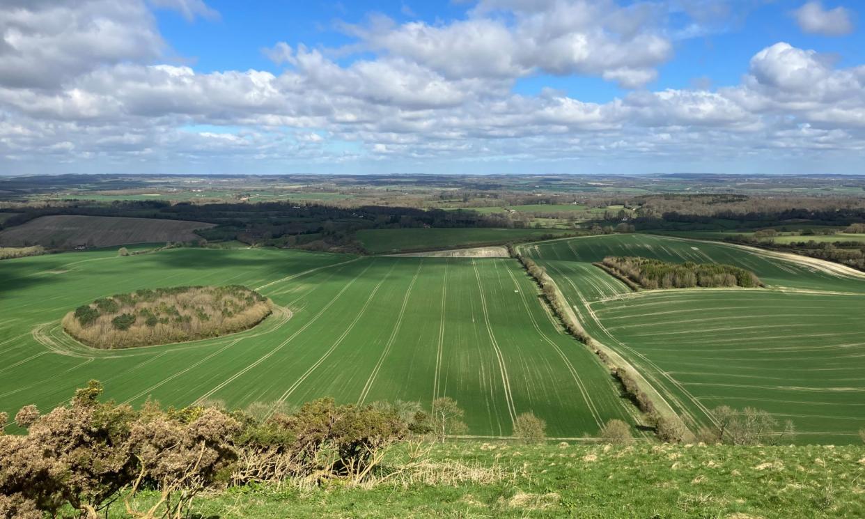 <span>Gallows Down in spring: chalk lines, ploughed fields and hail-full clouds.</span><span>Photograph: Nicola Chester</span>