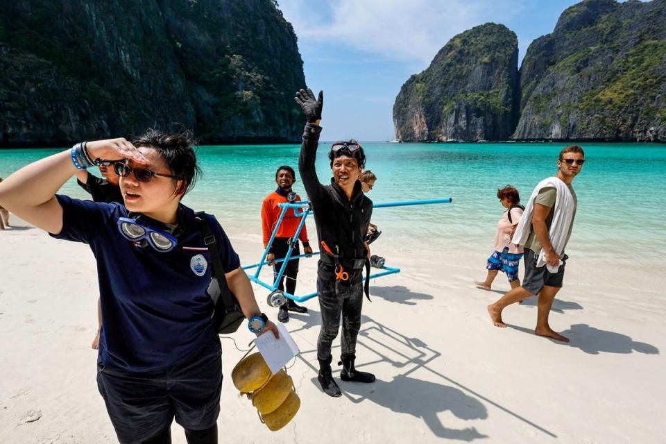 Metavee Chuangcharoendee, 27, from the Maya Shark Watch Project, arrives with her team to install their baited remote underwater video station (Reuters)