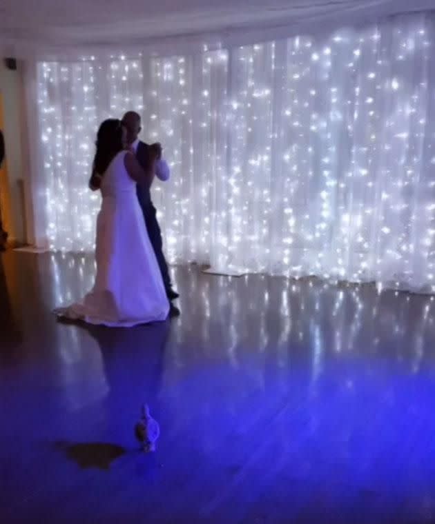 Despite disappearing after the ceremony, the duck took pride of place during the couple's first dance. Image: Caters