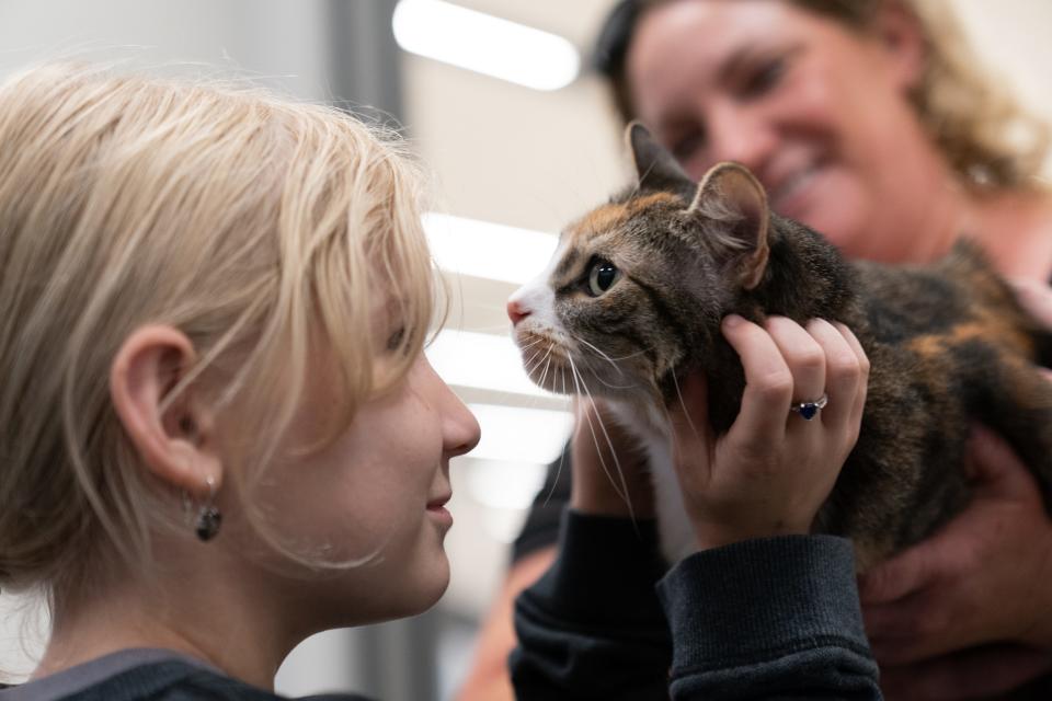 Paylen Wichert, who was 6 when Sarin disappeared three years ago, gives her cat some much-needed scratches after they were reunited Thursday at Kansas City International Airport.