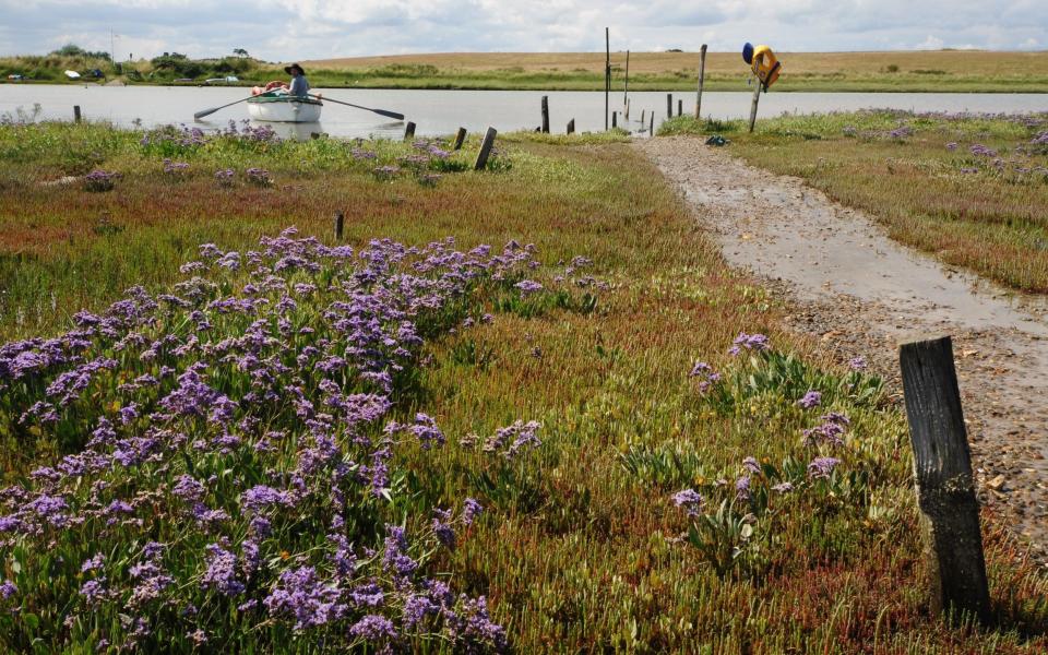 The Butley River is a haven for wildlife