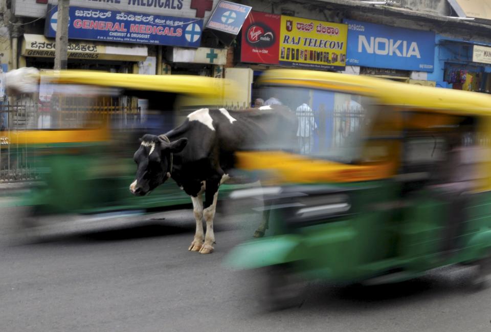 <span><b>5th most popular.</b><br>A cow stands in the middle of a busy road as auto-rickshaws pass by in Bengaluru, India, June 2, 2015. (REUTERS/Abhishek N. Chinnappa)</span>