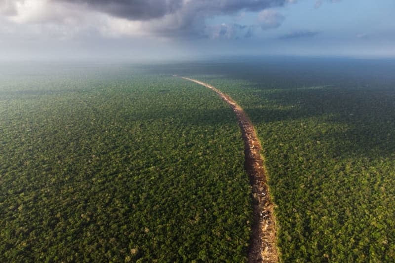 Aerial view of the track that cuts through the Mexican rainforest for the new Tren Maya railway line. Fernando Martinez Belmar/FMB/dpa