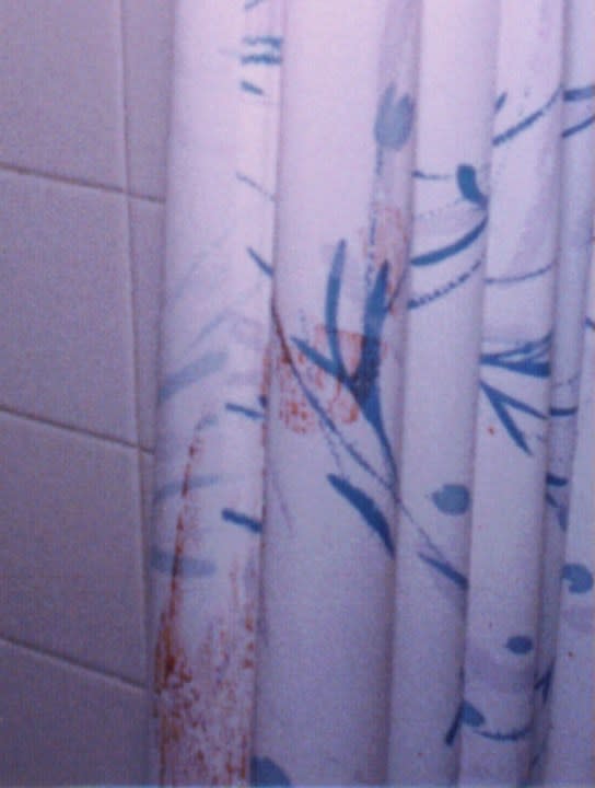 A bloody shower curtain was among the missing evidence. (Courtesy)