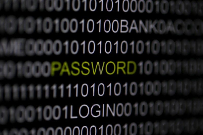 The word 'password' is pictured on a computer screen in this picture illustration taken in Berlin May 21, 2013.  REUTERS/Pawel Kopczynski  