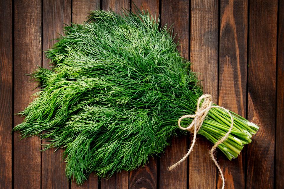 <h1 class="title">Dill</h1><cite class="credit">Photo by Shutterstock</cite>