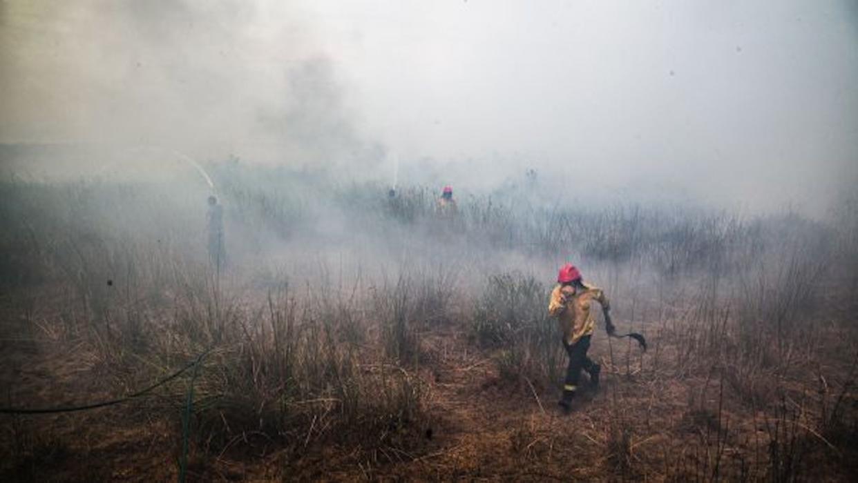  In February, wildfires fueled by severe drought consumed forests, grasslands and wetlands in northeastern Argentina, burning an estimated 40% of the Ibera National Park. 