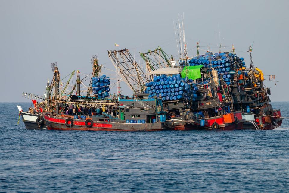 Over a third of the world’s fish stocks are overfished. (Shutterstock)