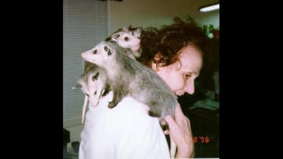 Dixie Stevenson in 1996 with opussums she received when they were babies. The babies were found in the pouch of the mother, who was hit by a car.