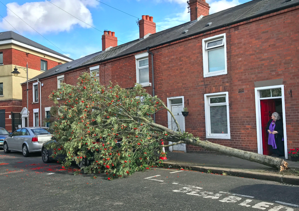 <em>A woman looks at a fallen tree outside her home in Belfast (PA)</em>