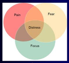 <span class="caption">Distress Venn Diagram.</span> <span class="attribution"><span class="source">https://pubmed.ncbi.nlm.nih.gov/24093902/</span></span>